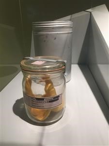 Phone Spy No Target Phone Needed